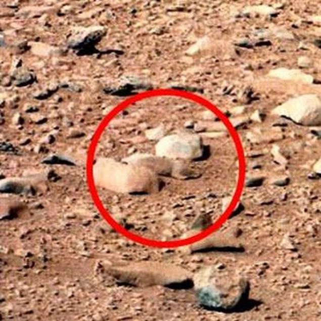 Her ne kadar bilim adamları bunların birer kaya parçası olduğunu dile getirse de fotoğrafı görenler NASA'nın kendilerinden gerçekleri gizlediğini düşünüyor.       
