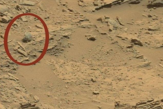  Mars yüzeyinde; gözlere, bir buruna, üst çeneye ve iyi korunmuş bir kafa tasına sahipmiş gibi duran tuhaf biçimli bir kaya dikkat çekiyor.     