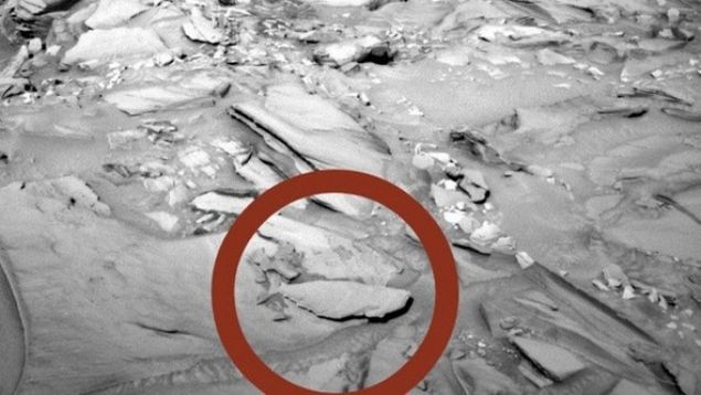  Mars yüzeyinde bulunan uzay aracı Curiosity tarafından çekilen fotoğrafa dikkatli bakıldığında ortalara doğru alt taraflarda tıpkı balığı andıran bir nesne göze çarpıyor.     