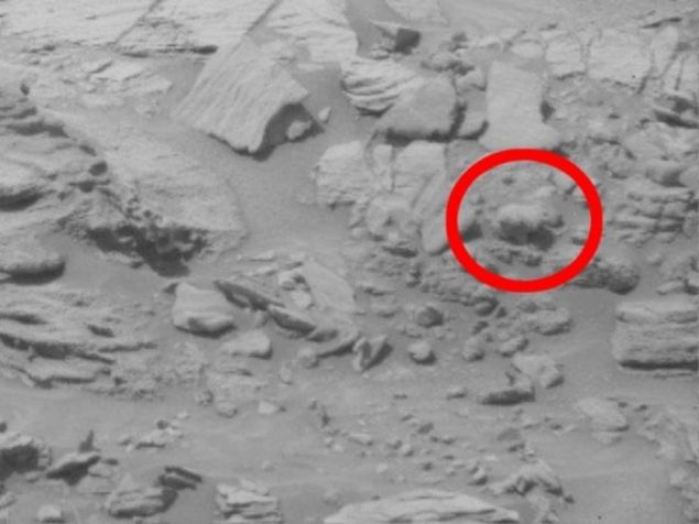  NASA'nın Mars'tan Dünya'ya geçtiği bir başka görüntüde ise objektife yakalanan objenin ayıyı andırdığı iddia edilmişti.     