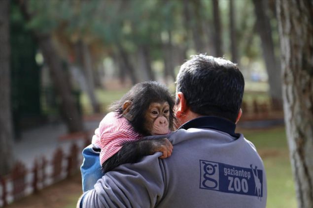 'Bunun ne söylediğini hemen anlarım. Yem ister, su ister.'