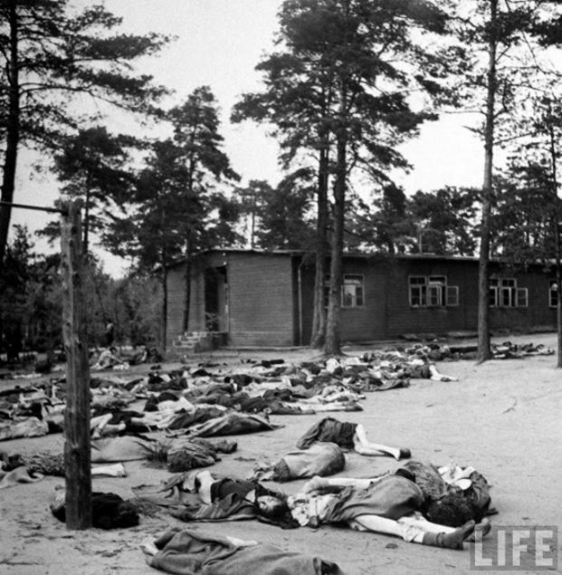    Bergen-Belsen tesisi, faaliyette bulunduğu süre içinde farklı zamanlarda kurulan birkaç kamptan oluşuyordu. Üç ana kamp bulunmaktaydı:    
