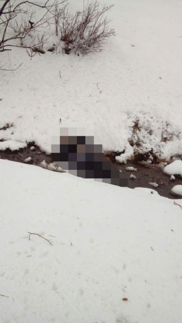 Muş'ta yolcu otobüsünün devrilmesi sonucu ilk belirlemelere göre 3 kişi hayatını kaybetti, çok sayıda kişi yaralandı.