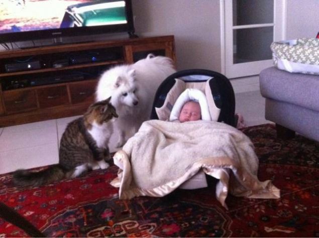 Sosyal medya kullanıcıları tarafından en çok paylaşılan ve beğenilen fotoğrafları sizler için derledik...