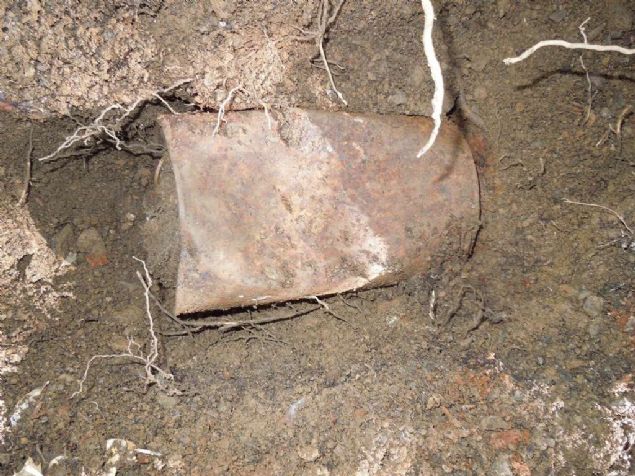 Kaliforniyalı bir çift, evlerinin bahçesindeki ağacın dibinde çok sayıda altın madeni parayı içeren bir gömü buldu. Gömünün değerinin 10 milyon doları aşabileceği tahmin ediliyor.