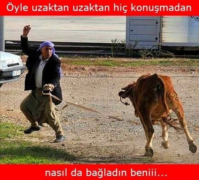 Kurban Bayramı'nın başlamasıyla capsler de sosyal medyada hızla yayılmaya başladı. İşte o capslerden bir kaçı