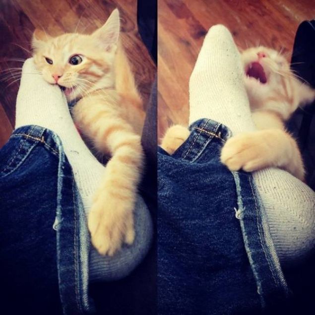 Sosyal medya kullanıcıları tarafından en çok beğenilen ve paylaşılan fotoğrafları sizler için derledik...