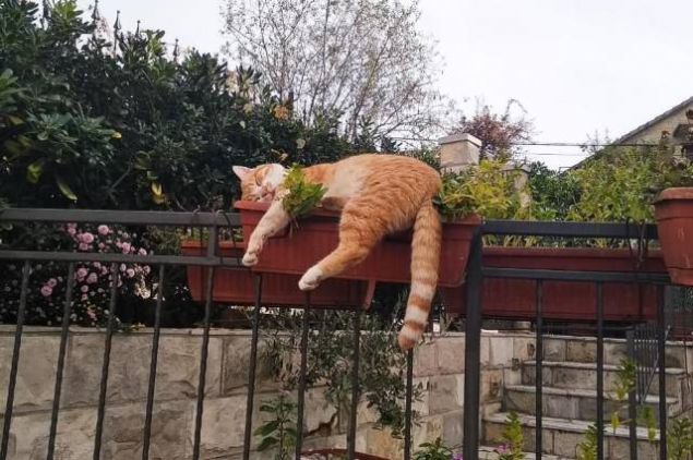 Sosyal medya kullanıcıları tarafından en çok beğenilen ve paylaşılan fotoğrafları sizler için derledik...