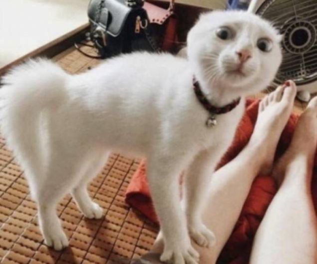 Sosyal medya kullanıcıları tarafından en çok beğenilen ve paylaşılan fotoğrafları sizler için derledik...
