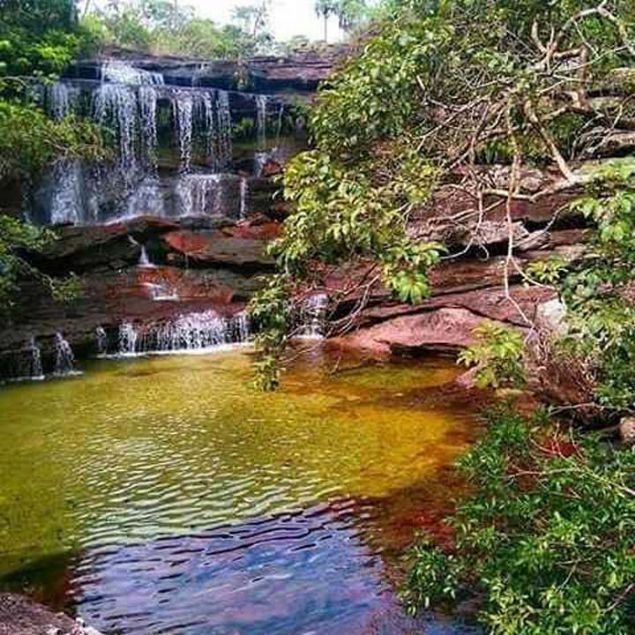TM Dijital Haber Merkezi <br><br> Kolombiya’da yer alan ve “beş renkli nehir” olarak da anılan Cano Cristales nehri, ziyaretçilerini hayretler içerisinde bırakıyor. <br><br> Kolombiya hükûmeti ile uyuşturucu tacirleri ve FARC arasında süren savaşlardan dolayı uzun yıllar boyunca keşfedilmeyi bekleyen Cano Cristales, 2016 yılında imzalanan barış anlaşmasından sonra turist akınına uğramaya başladı. Fakat bu büyülü yolculuğun bir dizi zorluğu bulunuyor.