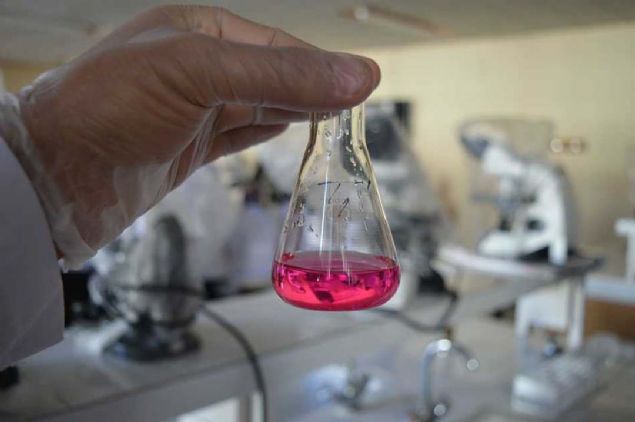 Sağlık Bakanlığı'ndan yapılan açıklamada, 'Uluslararası işbirliğimizi artırıyoruz. Küba ile aşı, kanser aşısı ve ilaçları konusunda çalışma grubu kurma kararı alındı. Küba’dan bir heyet bu hafta ülkemize geliyor' denildi.