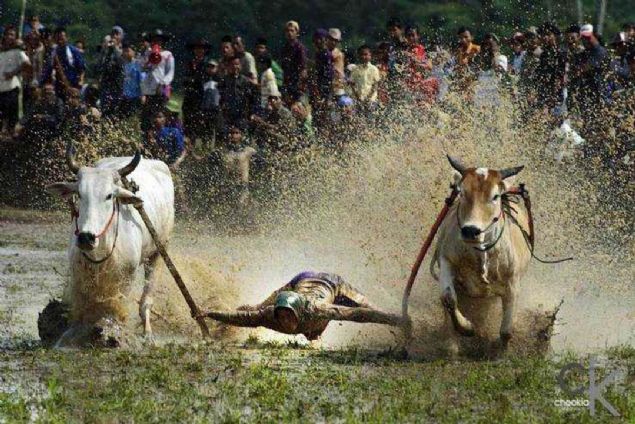 Sosyal medya kullanıcıları tarafından en çok beğenilen ve paylaşılan fotoğrafları sizler için derledik...