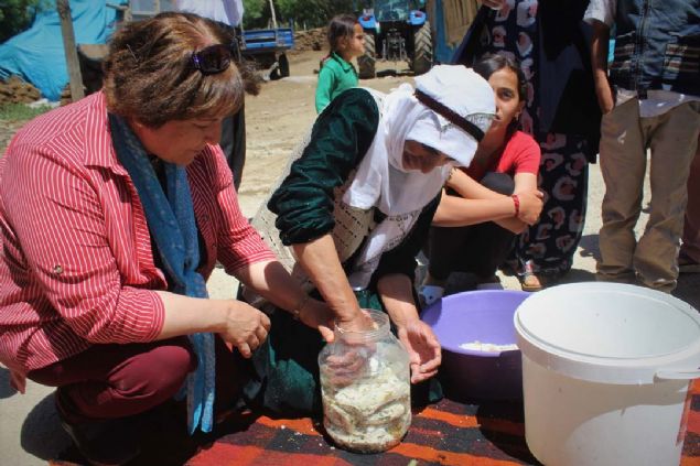 Van'da yüksek kesimlerde yetişen endemik bitkilerin karışımıyla yapılan kentin tescilli ürünü olan otlu peynir, asırlardır değişmeyen lezzetiyle sofraların vazgeçilmezi olmaya devam ediyor.