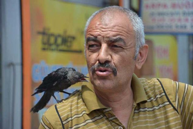 ERZURUM'da yaşayan Yüksel Özpolat'ın, avlanmak üzereyken kedinin elinden kurtardığı yavru karga ile olan yakınlığı görenlerin ilgisini çekiyor.