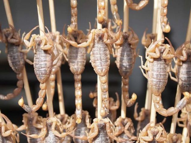 Gördüğünüz zaman 'yok artık' diyeceğiniz, birbirinden çılgın ve ilginç manzarayı sizin için galerimizde bir araya topladık. <br><br> İşte Çin'den tuhaf manzaralar! <br><br> 1. Sokak yemekleri biraz değişik... Çubuğa geçirilmiş akrep yemek ister miydiniz?