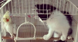 Sosyal medyada günün en çok paylaşılan fotoğrafları