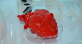 Türk bilim insanları kök hücre ve 3D biyo-yazıcı ile 'kalp' üretecek
