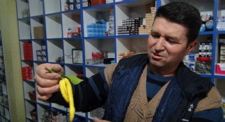 Ağaçta gören hayrete düştü