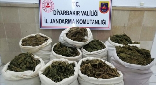 Hepsi saman balyaları arasından çıktı
