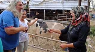 4 bilezikle girdi! Şimdi paraya para demiyor!