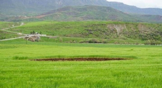 Siirt'te buğday tarlasında 40 metre çapında obruk oluştu