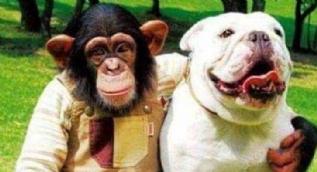 Günün en çok paylaşılan fotoğrafları