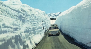 Sosyal medyada günün en çok paylaşılan fotoğrafları