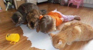Çocukların şaşkına çeviren halleri