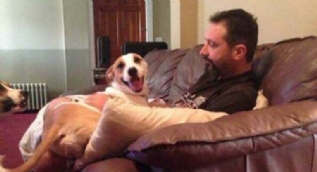 Babaların kalbini fetheden sevimli köpekler