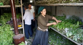 Her aile ortalama 10 bin TL kazanıyor