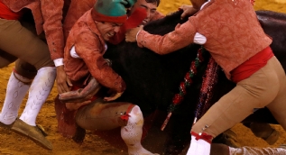 Matador hayatının şokunu yaşadı