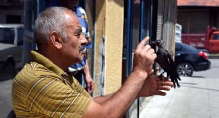 Hayatını kurtardı! Şimdi yanından ayrılmıyor...