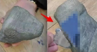 Taşın içinden çıkan şoke etti