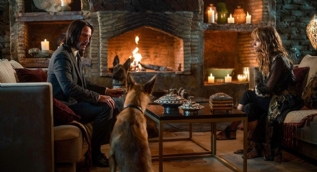John Wick 3'teki köpekli sahnelerin sırrı ortaya çıktı