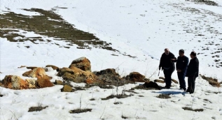 Şaşırtan keşfi: 11 milyon yıllık fosil bulundu