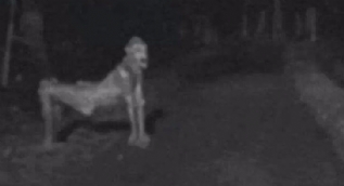 Görenlere korku dolu anlar yaşatan paranormal olay fotoğrafları