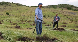 Belgeselde izledi, karar verdi! Türkiye'nin en büyüğü olacak