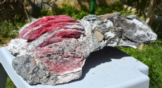 Yüzerken buldu, gözlerine inanamadı
