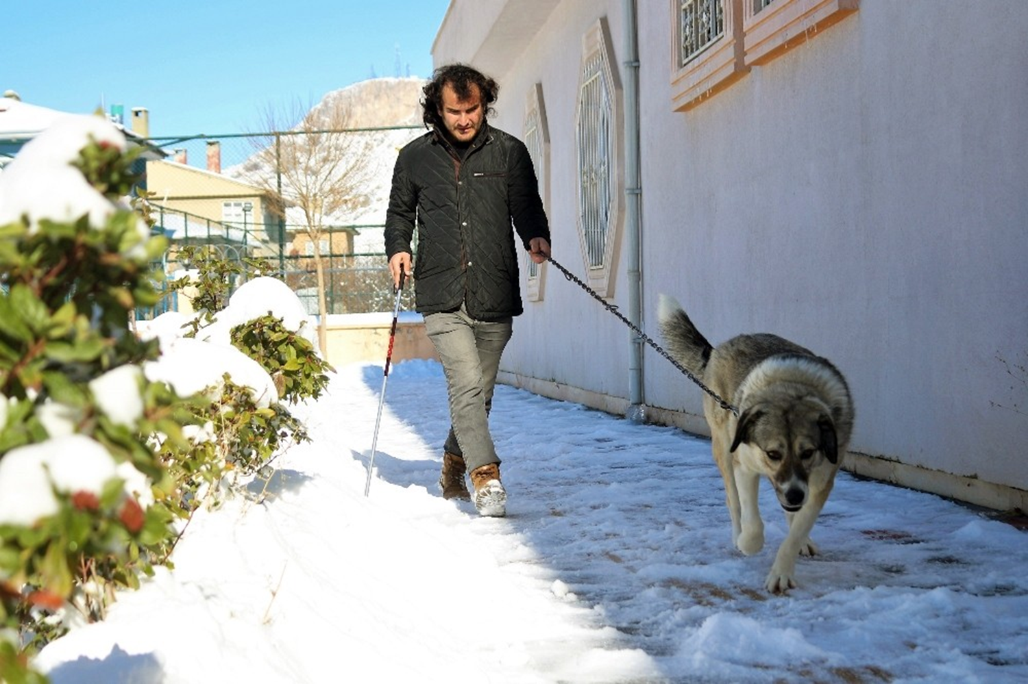 lk zamanlarda insanlardan korkan Dost, engelli kursiyer ve öreticilerin scak ilgisinden dolay insanlara yeniden güvenmeye balad. ki yllk süreçte salna kavuan Dost, görme engelli bireylerin de en büyük yardmcs oldu.