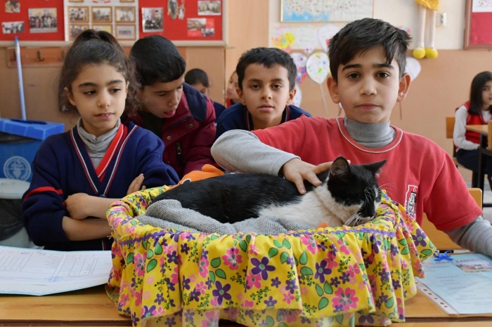 Örencilerin hazrlad karnede sokak kedisine "öz bakm, sevimlilik, miskinlik, cana yaknlk, beslenme ve temizlik, snf arkadalaryla uyum" gibi kstaslardan tam not verildi.