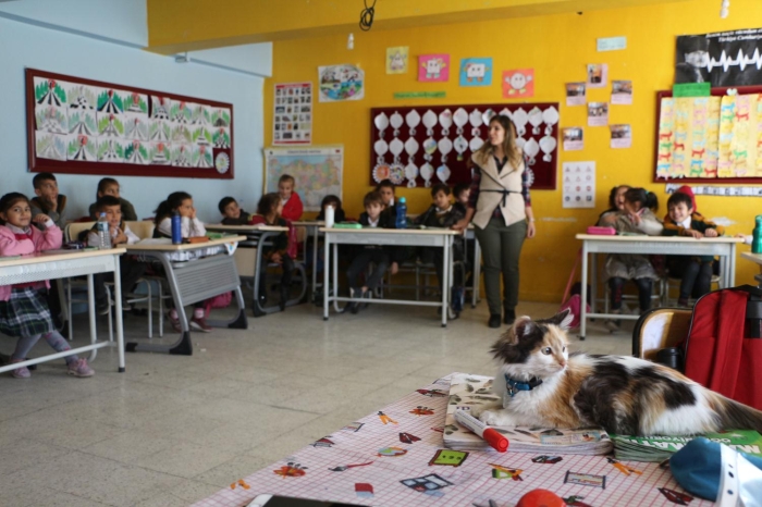 Okul Müdürü Nurettin Kaden, örencilerin kediyi benimseyip sevdiini belirterek, "Sokakta bir kedi bulduk. Okulumuza getirip sahiplendik. Adn 'Sevgi' koyduk. Örencilerimiz Sevgi'yi kucaklyorlar, evlerine götürmek isteyenler oluyor.