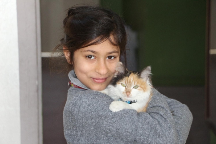 Okulumuzda örencilerimize hayvan sevgisini alamak istiyorsak mutlaka bir hayvann okula alnmas gerekiyor. Tüm okul müdürü arkadalarmza tavsiye ediyorum. Hayvanlar seven, insanlar da sever. Örencilerimiz sevgi yumanda büyür" dedi.