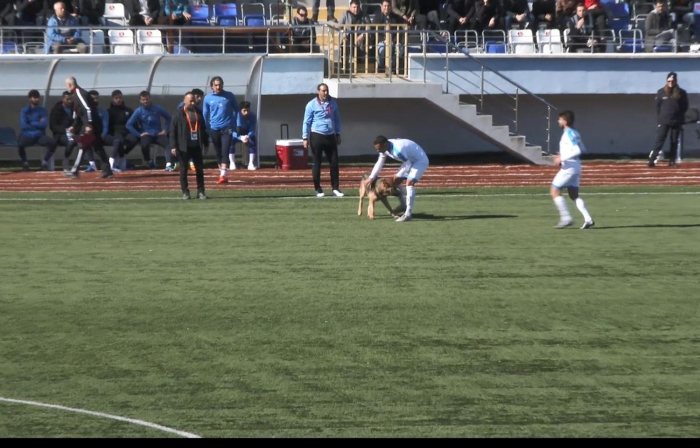  Sahada yakla��k 10 dakika dola�an köpek, stadyumun aç�k kap�s�ndan ç�kt�. Köpe�in uzakla�mas�yla maç�n hakemi kar��la�may� sürdürdü. 