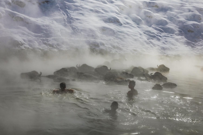 ite o birbirinden farkl kareler...