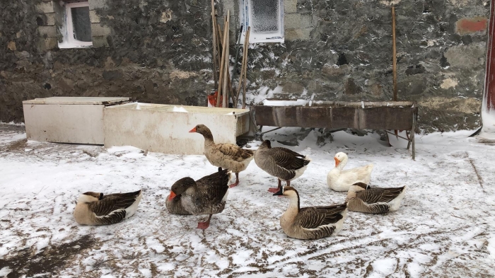 Blge illerinde gece ve sabah saatlerinde buzlanma ve don olaynn yan sra birlikte pus hadisesi bekleniyor.  