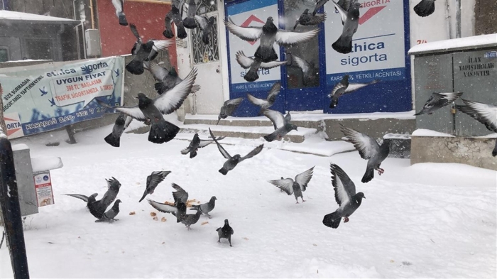 Scaklklarn mevsim normallerinde seyredecei blgede rzgarn deiik ynlerden hafif, zaman zaman batl ynlerden orta kuvvette esmesi ngrlyor.  