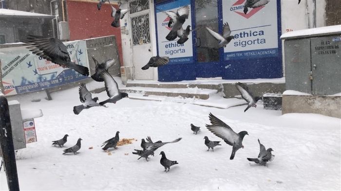 Gece il merkezlerinde en dk hava scaklklar, sfrn altnda olmak zere Kars'ta 31, Ardahan'da 26, Erzurum'da 24, Ar'da 21, Tunceli'de 15, Erzincan'da 14 ve Idr'da 8 derece lld.  