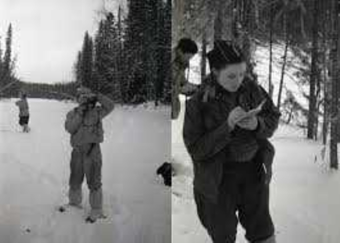                                                                 Dier bulgular: <br><br> 1. 12 yandaki Yury Kuntsevi, cesetlerin zerinde kahverengi bronzlam lekeler olduunu sylyor.                                                       