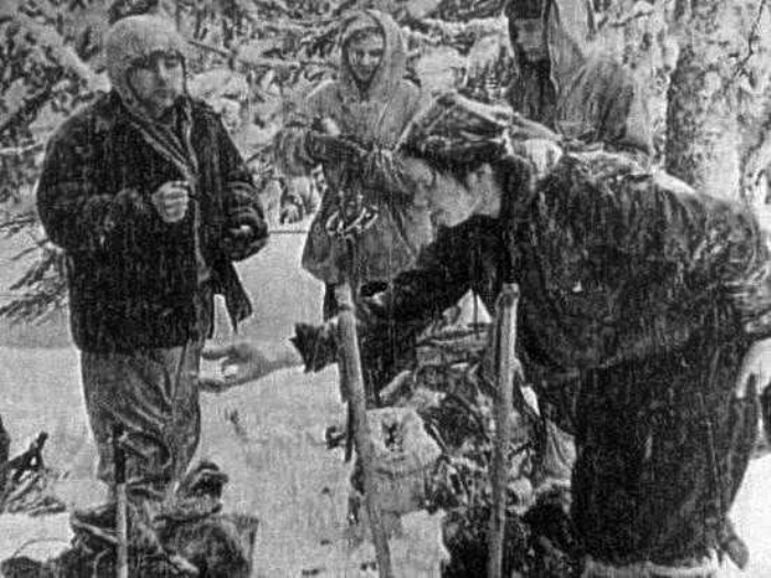                                                                 5. Aratrmaclar, Yuri Krivonienko ve Yuri Doroenko'nun kamp ateini kuru odunlar yerine sedir aacndan krdklar ya dallarla yaktklarn tespit etmilerdir. Bundan dolay genlerin olay gecesi grme yetilerini kaybettikleri dnlmektedir.                                                       