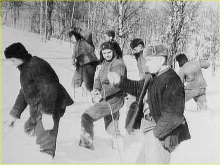                                                                 1959 senesinde bir gece aniden 9 kayaknn hayatna ml olan neydi? Dosya 30-40 sene sonra tekrar ele alnyor. Ancak o dnem artlarnda toplanan ve aklanan belgeler ne derece salkldr, belli deil...                                                       